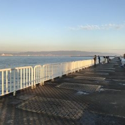 12月初の！！！ アイツ。