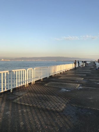 12月初の！！！ アイツ。