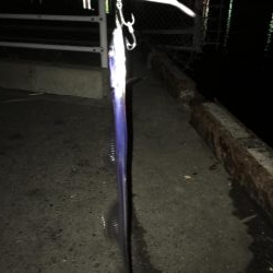 湾奥タチウオ。丁寧に探ればチャンス有り！