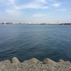 小春日和の穴釣り