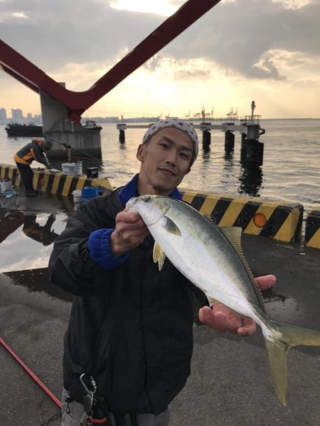 今年最後のノマセです