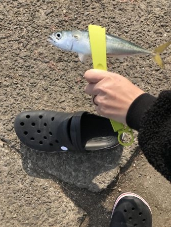 花市場前にて！