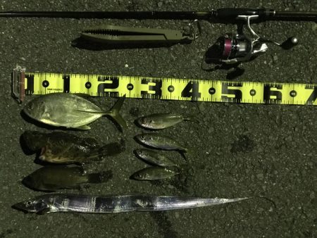 メッキ釣果〜九目釣り〜