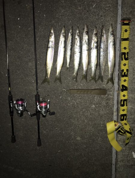 短期決戦カマス！