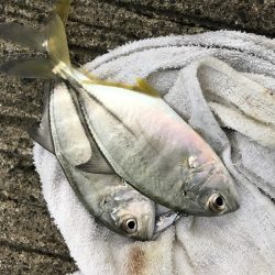 ダブルメッキ！