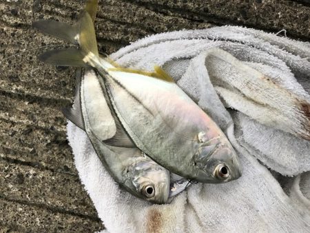 ダブルメッキ！