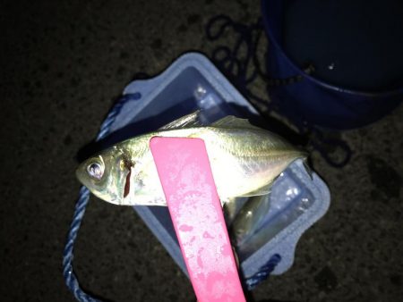 ライトゲーム岬