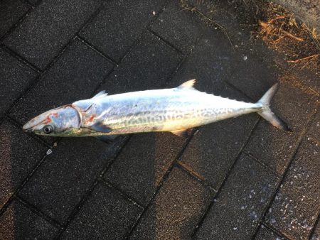 寒くても頑張るよー♫