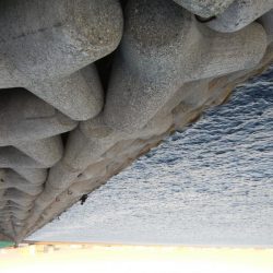 太刀魚釣れず、初メバル