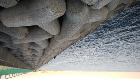 太刀魚釣れず、初メバル