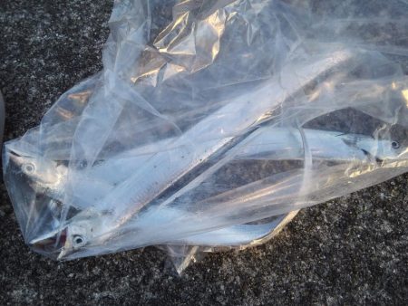 サイズダウンしてますが、アタリ多いです