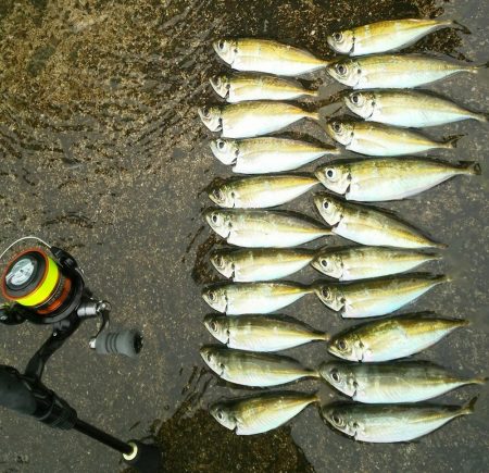 ちょっとデイアジング