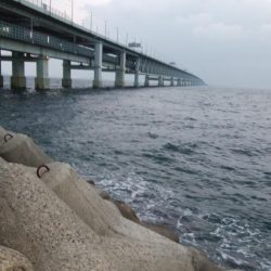 爆風メバリング