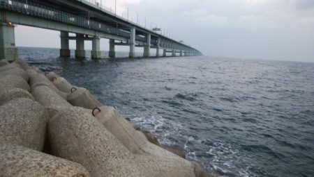 爆風メバリング