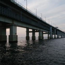 マイクロワインド　メバリング