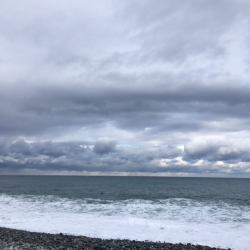 渋いけど青物釣れだす。