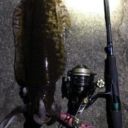 年内最後のエギングで・・・