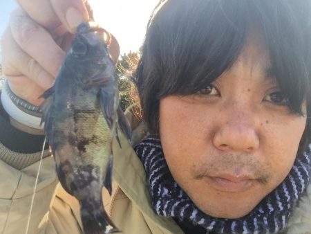 久しぶりの城南島