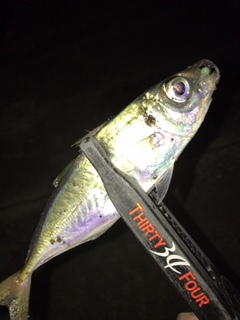 長いワームで小アジング