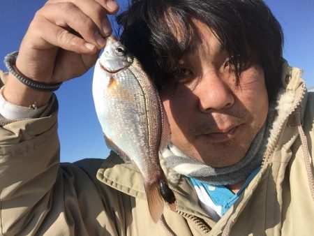 海タナゴ。、爆釣☆