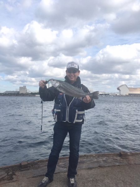 泉佐野食品コンビナートで強風極寒の中60ｃｍのシーバスゲット