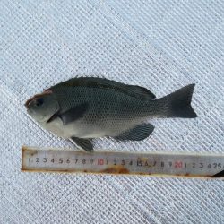 寒いけど釣れればポカポカ