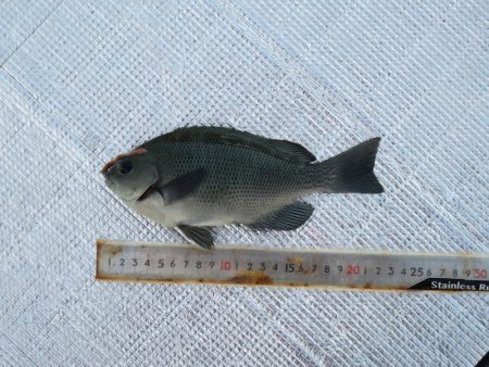 寒いけど釣れればポカポカ