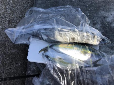 オフショアリベンジ