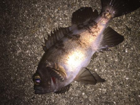 まだまだこれから