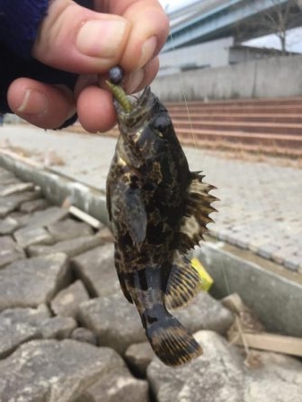 冬ロックフェスのつもりだったのに