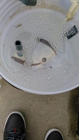 なぎさ公園でアジ、太刀魚狙い