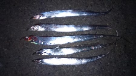 明日日曜日武庫一に行く予定だったのですが強…