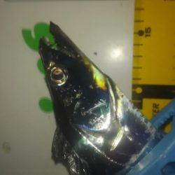 ワインド雪辱戦