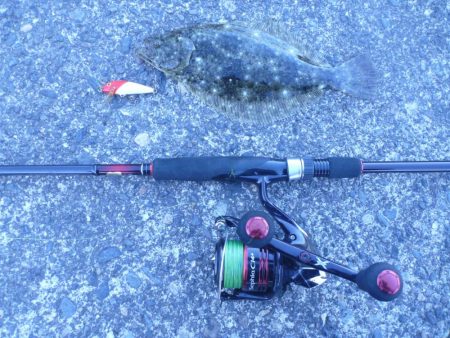 メッキ狙いでうれしい外道