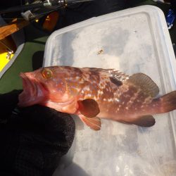 ひさびさカヤックフィッシング