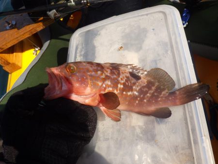 ひさびさカヤックフィッシング