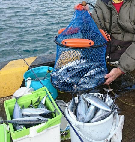 X\'masマルソウダ大爆釣