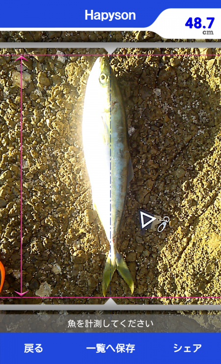 なぎ丸渡船でアオリ狙いがハマチGET