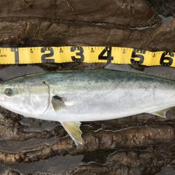 トップ反応なし