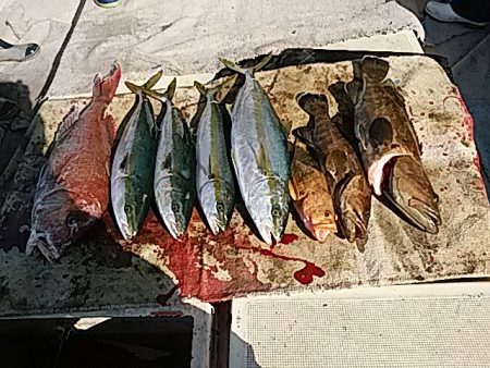 ■2017年１２月２３日(土)釣果