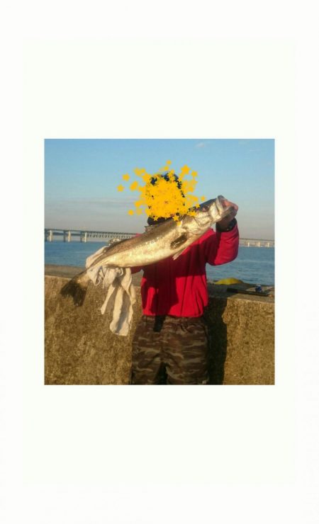 青物不発もシーバスゲット!