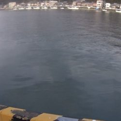 夕暮れ前に渓流ミノーの早引きで