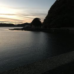 北西爆風のなかでエギング