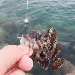 小春日和の穴釣り