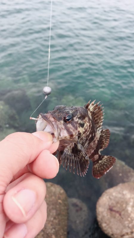 小春日和の穴釣り