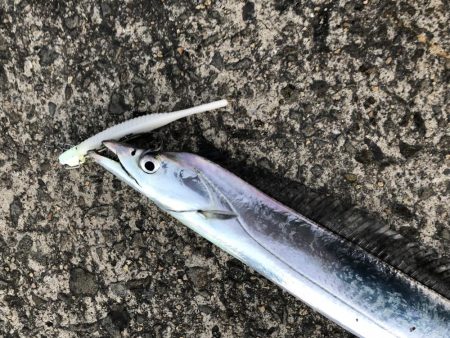 時合いはたったの15分!?価値ある4本