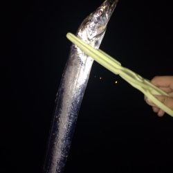 タチウオ釣り納め
