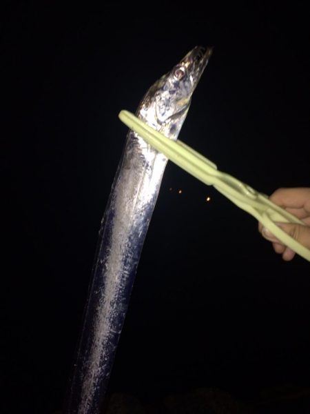 タチウオ釣り納め