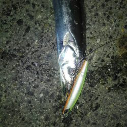 満員御礼&インターナショナル