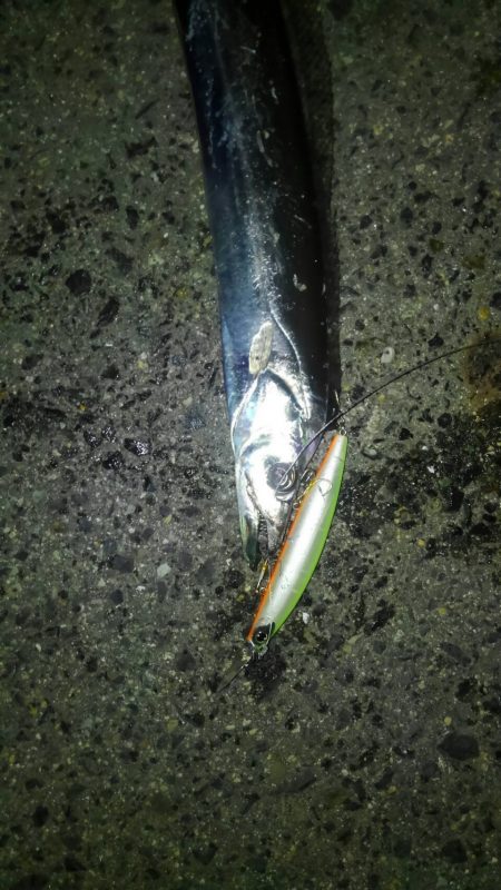 満員御礼&インターナショナル